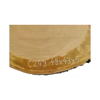 Plaster Czereśni 49x43x6cm