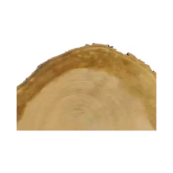 Plaster Czereśni 49x43x6cm