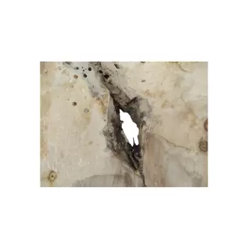 Plaster Jawora 65x48x7,5cm