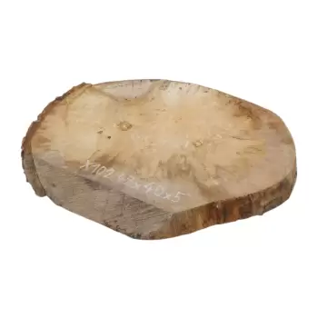 Plaster Jawora 47x40x5cm