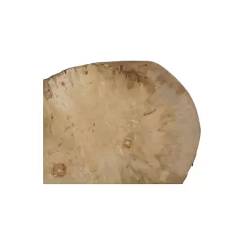 Plaster Jawora 47x40x5cm