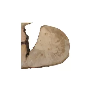 Plaster Jawora 66x58x5cm