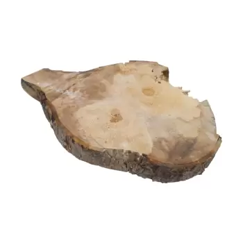 Plaster Jawora 70x50x8cm