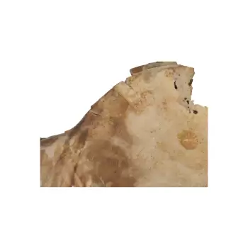 Plaster Jawora 70x50x8cm