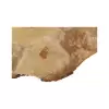 Plaster Jawora 68x47x6cm