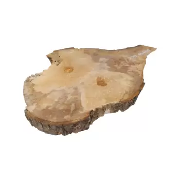 Plaster Jawora 68x47x6cm