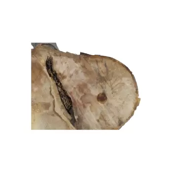 Plaster Jawora 64x50x7,5cm