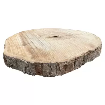 Plaster Jawora 96x83x10cm