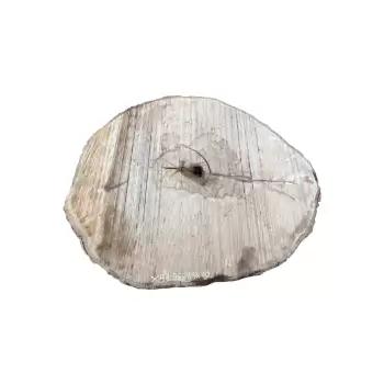 Plaster Jawora 96x83x10cm