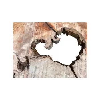 Plaster Jawora 93x81x8cm