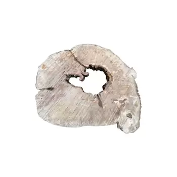 Plaster Jawora 93x81x9cm