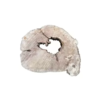 Plaster Jawora 93x81x9cm