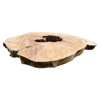 Plaster Jawora 93x81x9cm