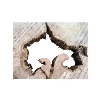 Plaster Jawora 83x80x10cm