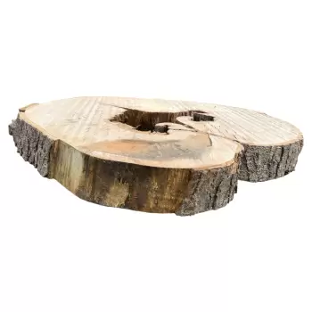 Plaster Jawora 83x80x10cm