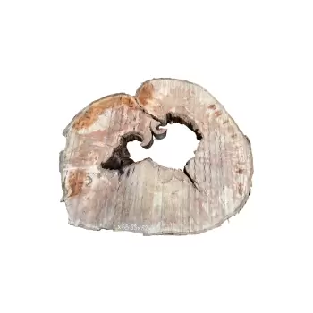 Plaster Jawora 93x82x8cm