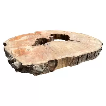 Plaster Jawora 93x82x8cm