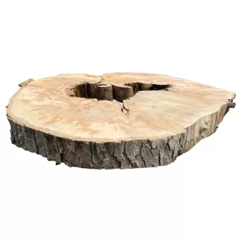 Plaster Jawora 92x81x8,5cm