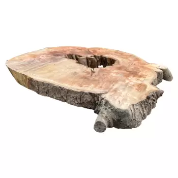 Plaster Jawora 92x81x9cm