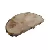 Plaster Jawora 45x31x5cm