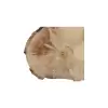 Plaster Jawora 45x31x5cm