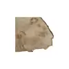 Plaster Jawora 45x31x5cm