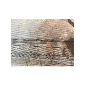 Plaster Jawora 90x85x11cm