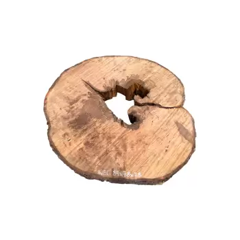 Plaster Jawora 84x78x7,5cm