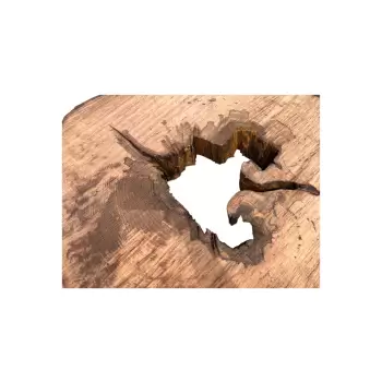 Plaster Jawora 84x78x7,5cm