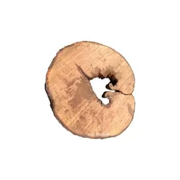 Plaster Jawora 84x78x7,5cm