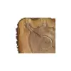 Plaster Orzecha Włoskiego 48x48x6cm