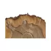Plaster Orzecha Włoskiego 48x48x6cm