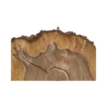 Plaster Orzecha Włoskiego 48x48x6cm
