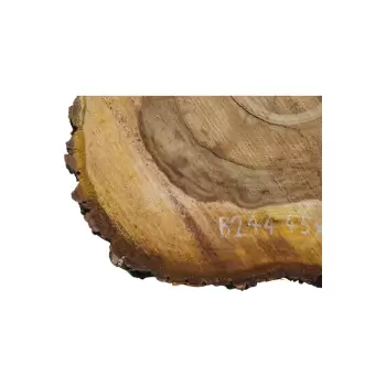 Plaster Orzecha Włoskiego 45x46x7cm