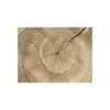 Plaster Orzecha Włoskiego 46x45x7cm