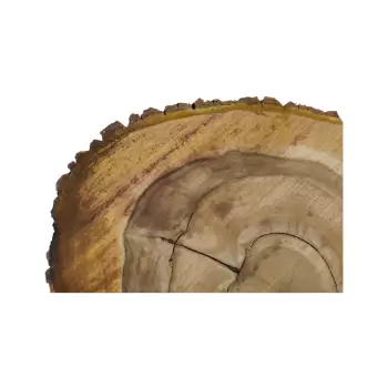 Plaster Orzecha Włoskiego 47x42x7cm