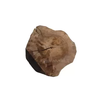 Plaster Orzecha Włoskiego 49x46x6cm