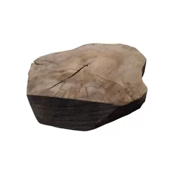 Plaster Orzecha Włoskiego 49x46x6cm