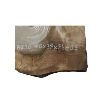 Plaster Orzecha Włoskiego 46x37x7,5-8,5cm