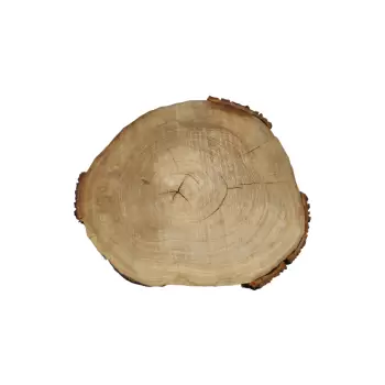 Plaster Wiązu 57x51x8cm