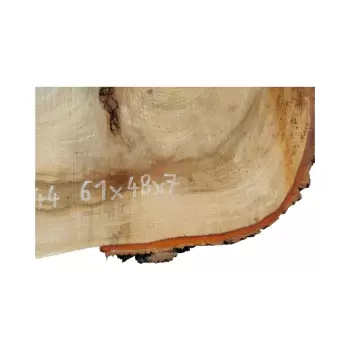 Plaster Wiązu 61x48x7cm
