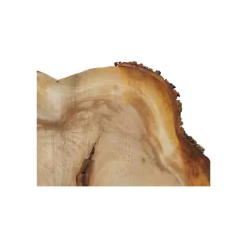 Plaster Wiązu 61x48x7cm