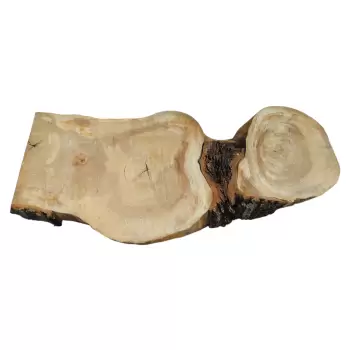 Plaster Wiązu 98x41x8cm