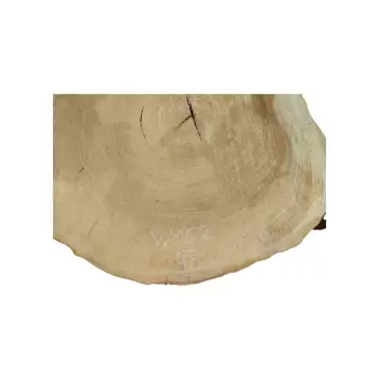 Plaster Wiązu 98x41x8cm