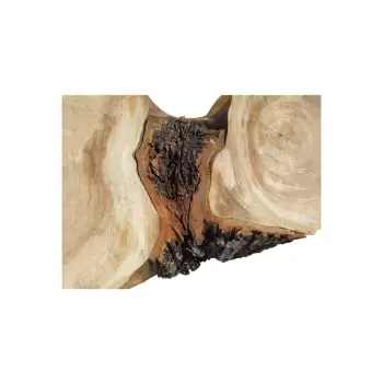 Plaster Wiązu 98x41x8cm