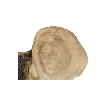 Plaster Wiązu 98x41x8cm