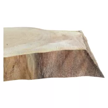 Plaster Wiązu 49x40x5cm