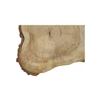 Plaster Wiązu 49x40x5cm