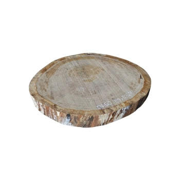 Plaster Dębowy 59x53x7cm Dąb
