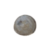 Plaster Dębowy 56x54x6cm Dąb